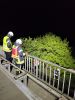 Flächenbrand